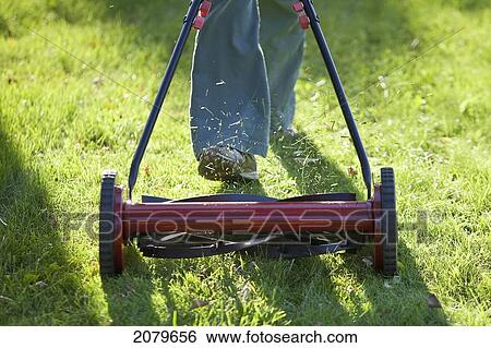 Stock Photograph - Woman Cutting Grass With An Environmentally Friendly Push Lawn Mower. Winnipeg, Manitoba, Canada.. Fotosearch