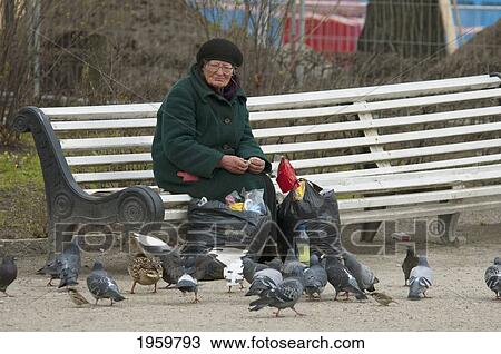 Stock Image - Woman Feeding Pigeons On A Park Bench In Tallinn, Estonia. Fotosearch