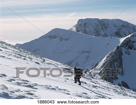 Stock Image - Woman Going Up Snowy Slope Near The Top Of Aonach Mor With Ben Nevis Behind. Fotosearch
