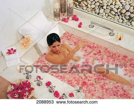 Woman Having A Goat's Milk Soak In Tub At The Spa In Oberoi Rajvilas; Jaipur Rajasthan India View Large Photo Image Stock Image - Woman Having A Goat's Milk Soak In Tub At The Spa In Oberoi Rajvilas; Jaipur Rajasthan India. Fotosearch