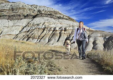 Stock Photo - Woman Hiking With Her Yellow Labrador Retriever In The Badlands Of Drumheller, Alberta, Canada. Fotosearch