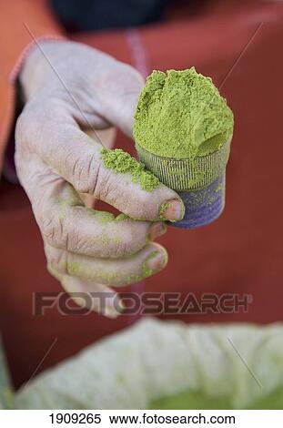 Woman Holding Pot Of Henna In Spice Souk, Close Up Of Hand, Marrakesh, Morocco View Large Photo Image Stock Photography - Woman Holding Pot Of Henna In Spice Souk, Close Up Of Hand, Marrakesh, Morocco. Fotosearch