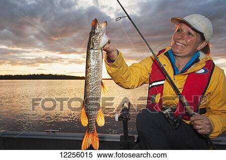 Stock Photography - Woman holds a large Northern pike (Esox lucius) in a boat on a lake at sunset; Ontario, Canada. Fotosearch