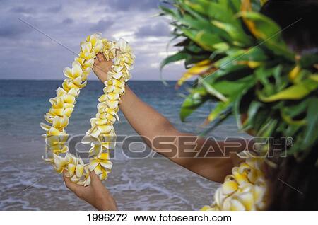 Woman Hula Along Shoreline Water, Plumeria Lei In Arms Outstretched, Side View View Large Photo Image Stock Image - Woman Hula Along Shoreline Water, Plumeria Lei In Arms Outstretched, Side View. Fotosearch