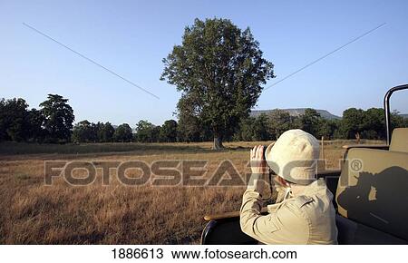 Stock Image - Woman In Khakis Looking Through Binoculars On Safari. Fotosearch