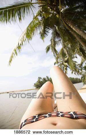 Woman In Patterned Bikini Sunbathing On Tropical Beach View Large Photo Image Stock Image - Woman In Patterned Bikini Sunbathing On Tropical Beach. Fotosearch
