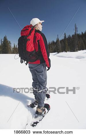 Woman In Snowshoes In The Snow View Large Photo Image Stock Image - Woman In Snowshoes In The Snow. Fotosearch