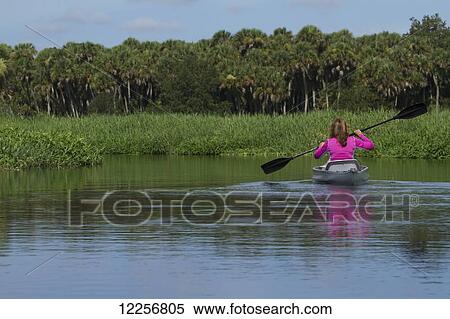 Stock Photography - Woman kayaking in Upper Myakka River Lake, Myakka River State Park; Sarasota, Florida, United States of America. Fotosearch
