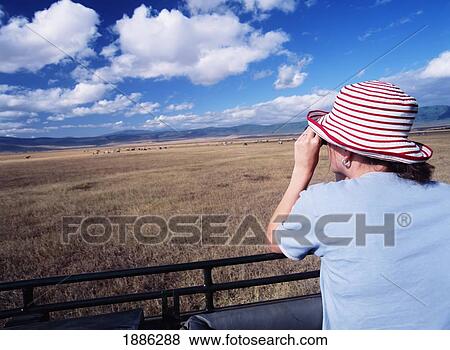 Stock Photo - Woman Looking Through Binoculars At Animals In Ngorogoro National Park. Fotosearch