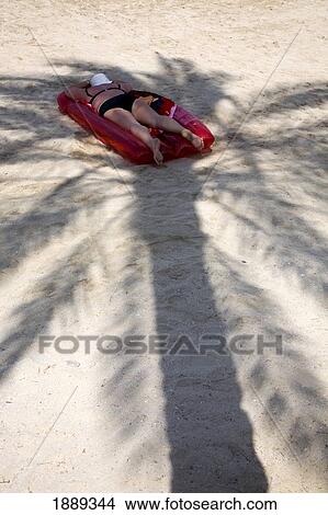 Woman Lying In Shade Of Palm Tree View Large Photo Image Picture - Woman Lying In Shade Of Palm Tree. Fotosearch