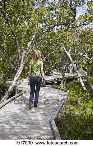 Stock Image - Woman On Boardwalk At Quick Point Nature Trail. Fotosearch