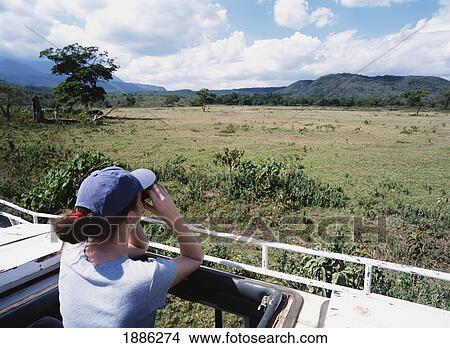 Woman On Safari Looking Over Grassland View Large Photo Image Picture - Woman On Safari Looking Over Grassland. Fotosearch