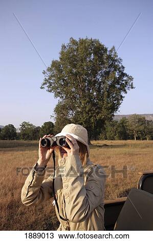 Woman On Safari Looking Through Binoculars View Large Photo Image Stock Image - Woman On Safari Looking Through Binoculars. Fotosearch
