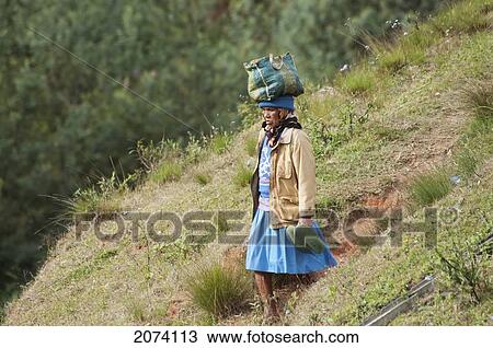Woman On The Anjiro Plain, Antananarivo Province, Madagascar View Large Photo Image Stock Image - Woman On The Anjiro Plain, Antananarivo Province, Madagascar. Fotosearch