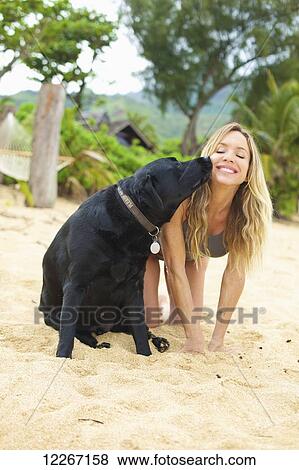 Woman on the beach with black lab; Kauai, Hawaii, United States of America View Large Photo Image Stock Photo - Woman on the beach with black lab; Kauai, Hawaii, United States of America. Fotosearch