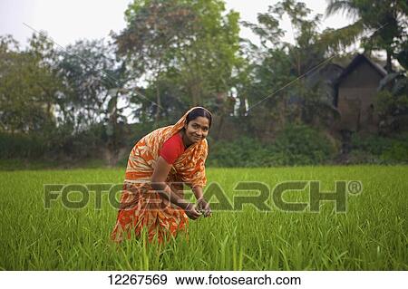 Woman on the haor; Kishoreganj, Bangladesh View Large Photo Image Stock Photo - Woman on the haor; Kishoreganj, Bangladesh. Fotosearch