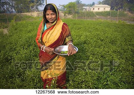 Woman picking vegetables; Kishoreganj, Bangladesh View Large Photo Image Stock Photo - Woman picking vegetables; Kishoreganj, Bangladesh. Fotosearch