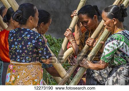 Stock Image - Woman pounding rice at a rante, the ceremonial site for a Torajan funeral ceremony in Rantepao, Toraja Land, South Sulawesi, Indonesia. Fotosearch