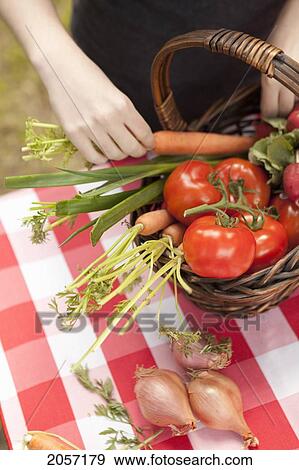 Stock Photo - Woman Prepares Basket Of Vegetables. Langley Bc. Fotosearch