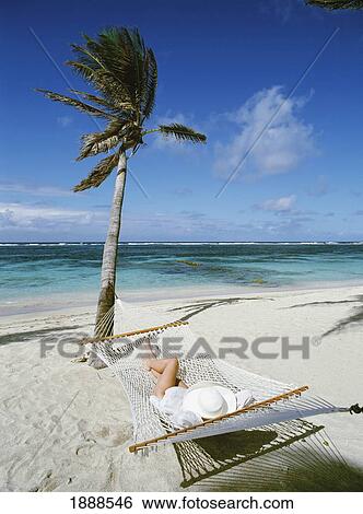 Stock Photograph - Woman Relaxing In Hammock On The Beach. Fotosearch