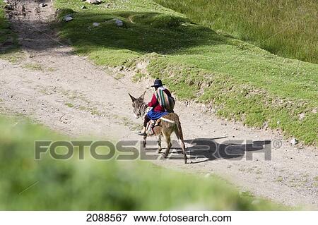 Stock Photo - Woman Riding A Donkey, Recuay, Ancash, Peru. Fotosearch