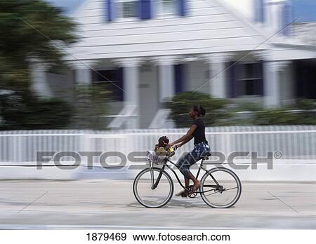 Woman Riding Bike Along Bay Street View Large Photo Image Stock Photo - Woman Riding Bike Along Bay Street. Fotosearch
