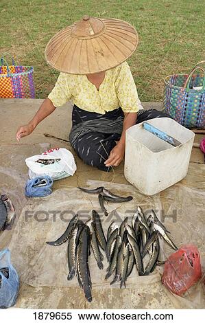 Woman Selling Fish On Local Street Market View Large Photo Image Stock Photography - Woman Selling Fish On Local Street Market. Fotosearch