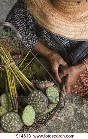 Stock Image - Woman Selling Lotus Flower Seed Heads. Fotosearch