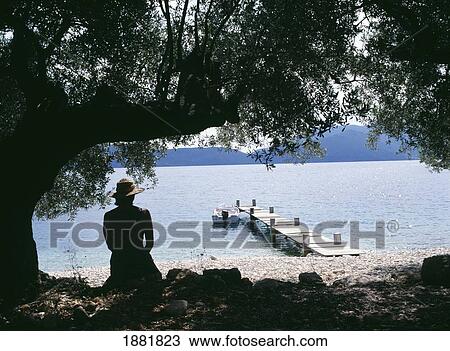 Stock Image - Woman Sitting On Coastline Under Tree. Fotosearch