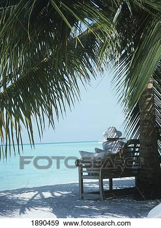 Woman Sitting Under Palm Tree On Beach View Large Photo Image Stock Photo - Woman Sitting Under Palm Tree On Beach. Fotosearch