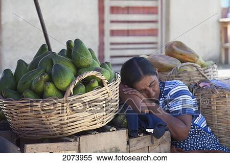 Stock Photography - Woman Sleeping At Her Produce Stand, Coroico, La Paz Department, Bolivia. Fotosearch