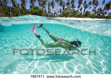 Stock Image - Woman Snorkeling In Tropical Ocean Water, Beach In Distance, Over/Under View.. Fotosearch