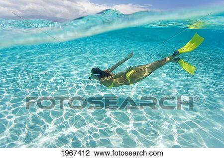 Woman Snorkeling In Tropical Ocean Water, Over/Under View. View Large Photo Image Stock Image - Woman Snorkeling In Tropical Ocean Water, Over/Under View.. Fotosearch