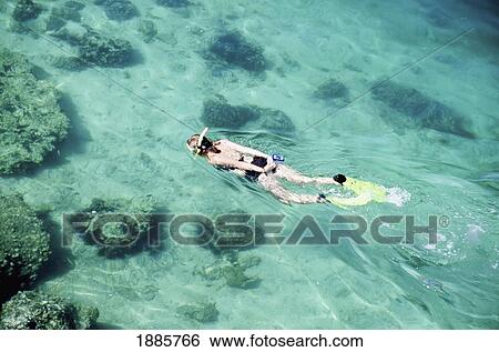 Stock Photograph - Woman Snorkeling, Khawr Ash Shamm. Fotosearch
