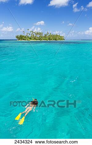 Picture - Woman snorkelling in aqua blue water in front of tropical island; Raiatea, French Polynesia. Fotosearch