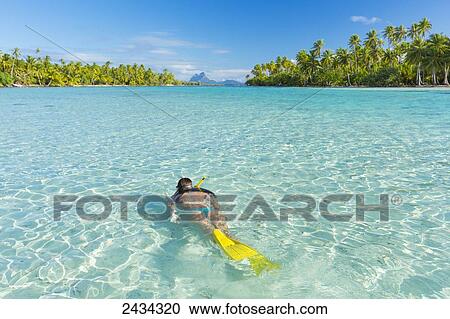 Stock Image - Woman snorkelling in aqua blue water; Tahaa, French Polynesia. Fotosearch