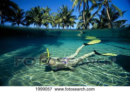 Woman Snorkels In Sandy Waters At Bottom, Over/Under, Palms Above Surface B1302 View Large Photo Image Stock Photo - Woman Snorkels In Sandy Waters At Bottom, Over/Under, Palms Above Surface B1302. Fotosearch
