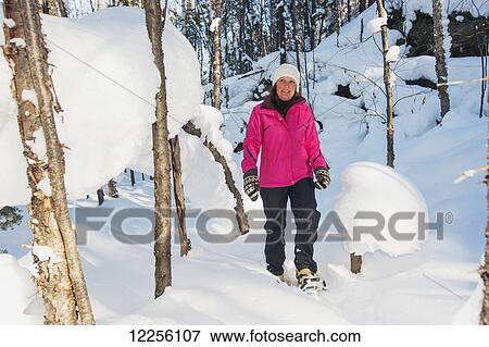 Woman snowshoes through a snow covered forest in winter; Ontario, Canada View Large Photo Image Stock Photo - Woman snowshoes through a snow covered forest in winter; Ontario, Canada. Fotosearch