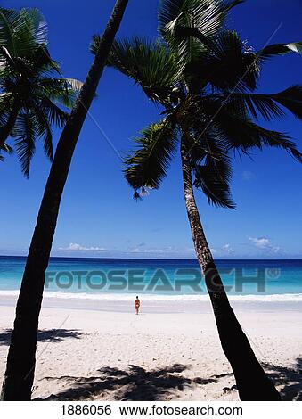 Stock Photograph - Woman Standing On A Tropical Beach. Fotosearch