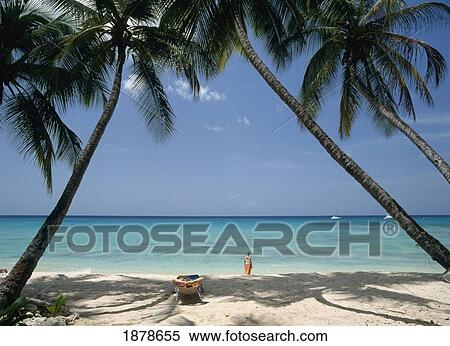 Stock Photography - Woman Standing On Beach Between Two Palm Trees. Fotosearch