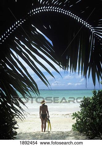 Woman Standing On Tropical Beach View Large Photo Image Picture - Woman Standing On Tropical Beach. Fotosearch