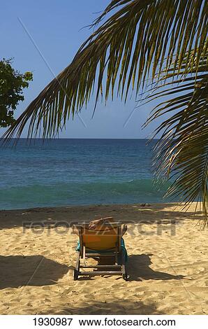 Woman Sunbathing Near Palm Trees On Magazine Beach; Carriacou Island, Grenada View Large Photo Image Stock Photo - Woman Sunbathing Near Palm Trees On Magazine Beach; Carriacou Island, Grenada. Fotosearch