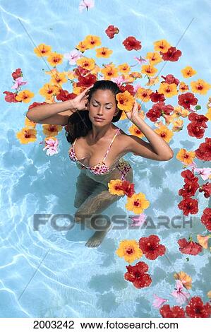 Woman Surrounded By Hibiscus Flowers In Pool, Eyes Closed Angled View From Above View Large Photo Image Stock Image - Woman Surrounded By Hibiscus Flowers In Pool, Eyes Closed Angled View From Above. Fotosearch