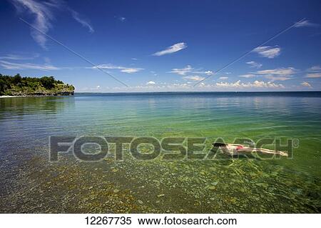 Stock Photography - Woman swimming in Lake Ontario; Little Bluff, Ontario, Canada. Fotosearch