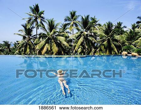 Woman Swimming In Pool By Palm Trees View Large Photo Image Stock Image - Woman Swimming In Pool By Palm Trees. Fotosearch