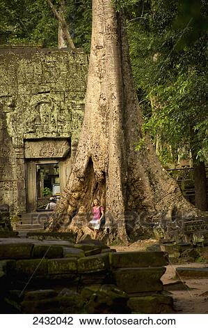 Stock Image - Woman tourist contemplating the size of the Strangler Figs that surround Ta Prohm Temple; Siem Reap, Cambodia. Fotosearch
