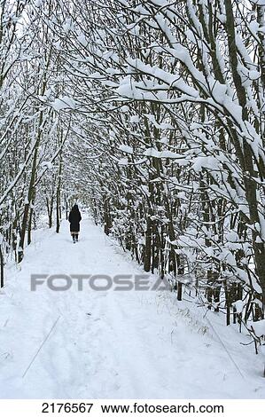 Stock Photo - Woman Walking Along Path Through Trees Covered In Snowlewes, East Sussex, Uk. Fotosearch