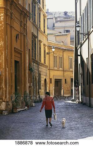 Woman Walking Her Dog Down A Cobbled Back Street In Rome View Large Photo Image Stock Photo - Woman Walking Her Dog Down A Cobbled Back Street In Rome. Fotosearch