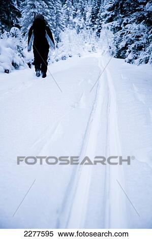 Woman walking on a snow covered road in winter; Ortnevik, Sognefjord, Norway View Large Photo Image Stock Photography - Woman walking on a snow covered road in winter; Ortnevik, Sognefjord, Norway. Fotosearch