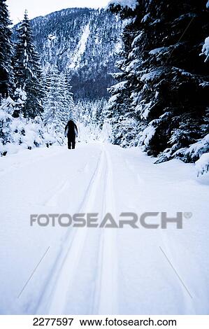Woman walking on a snow covered trail in winter through a dramatic alpine winter scene; Ortnevik, Sognefjord, Norway View Large Photo Image Stock Photo - Woman walking on a snow covered trail in winter through a dramatic alpine winter scene; Ortnevik, Sognefjord, Norway. Fotosearch